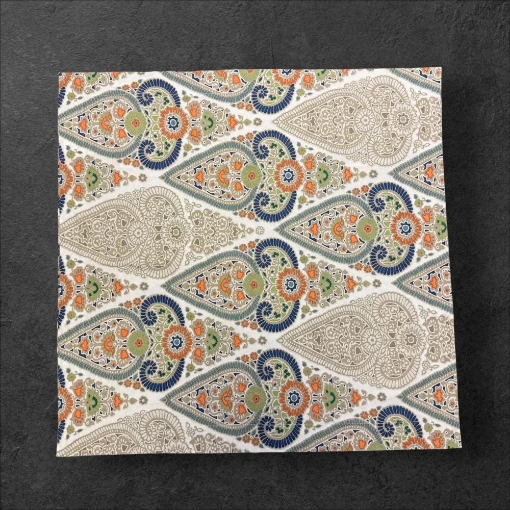 Pottery Barn King Gisela Paisley‎ Medallion Duvet Cover & 2 Euro Shams Set
